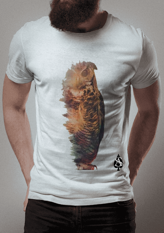 Nome do produto  Coruja 