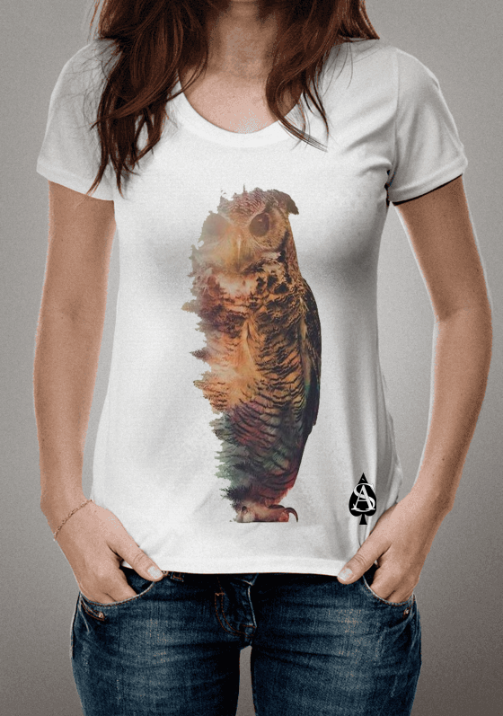 Nome do produto  Coruja 