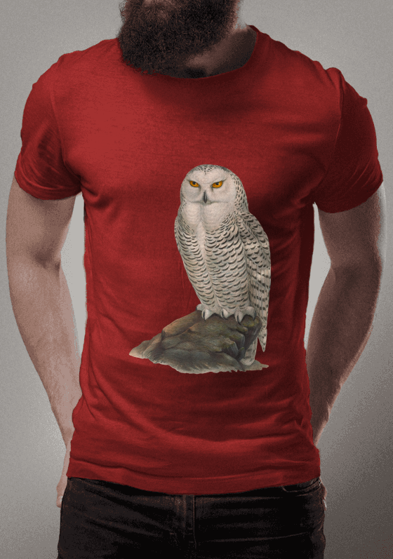 Nome do produto  Coruja