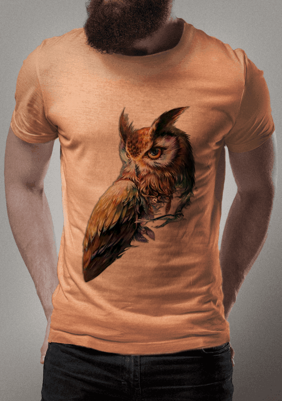 CORUJA COLORIDA MONTAGEM