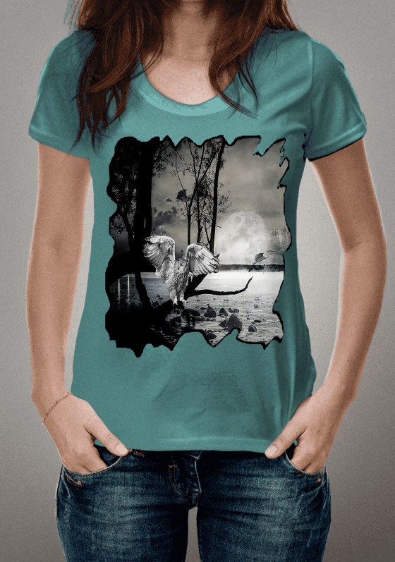 Nome do produto  Coruja da noite