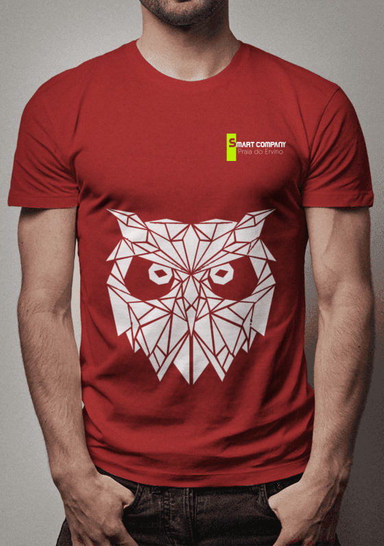 Nome do produto  CORUJA PRAIA DO ERVINO - SMART COMPANY