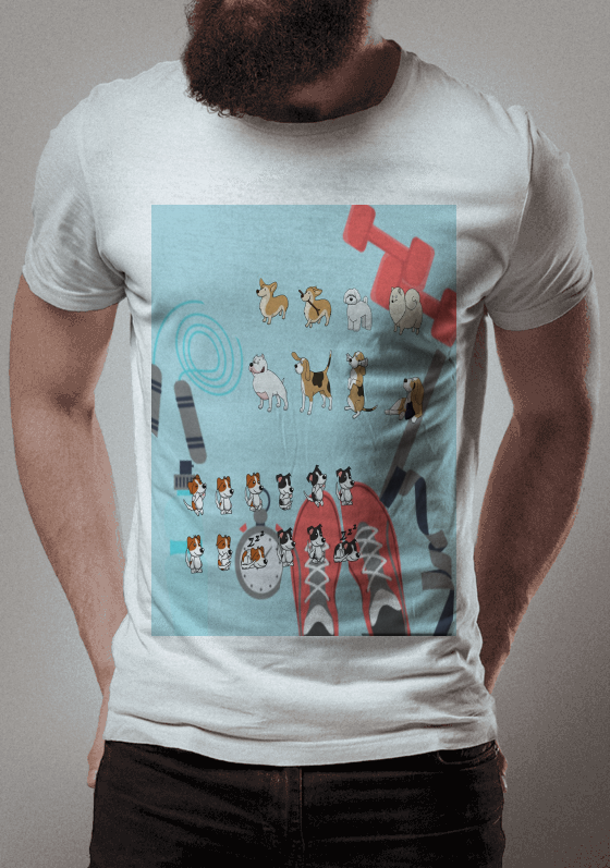 Nome do produto  Dog Shoes