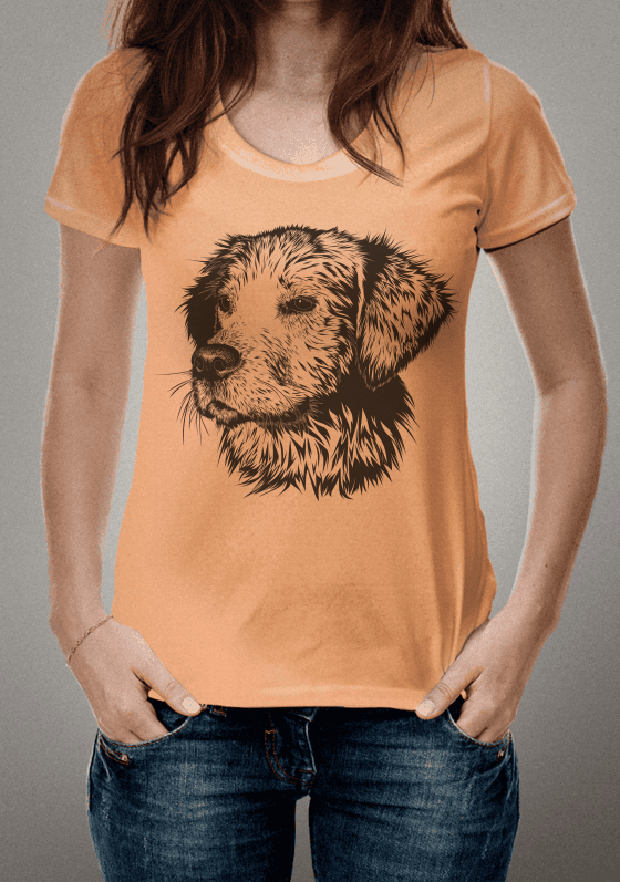 Nome do produto  Dog2