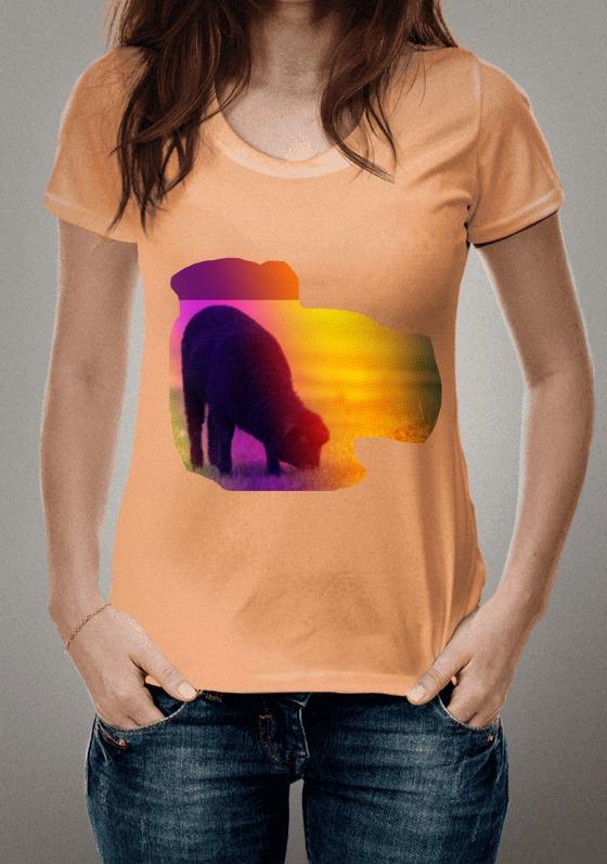 Nome do produto  dolly_petá