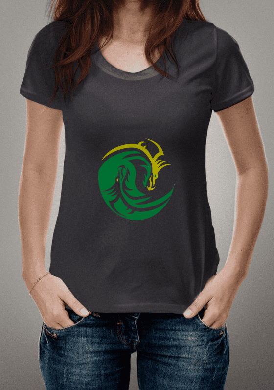 Nome do produto  dragão yin yang