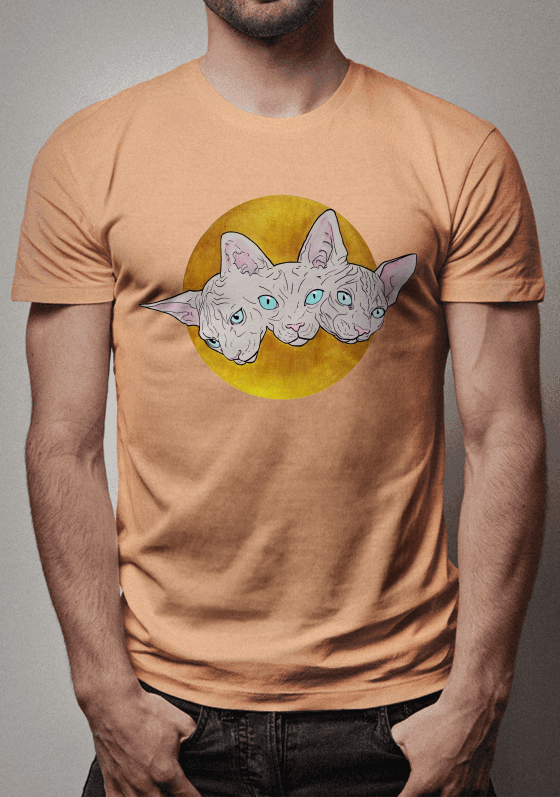 Nome do produto  Egyptian Cats