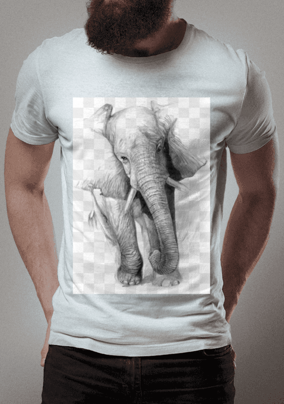 Nome do produto  Elefante