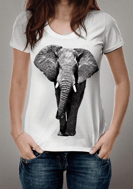 Nome do produto  Elefante Africano