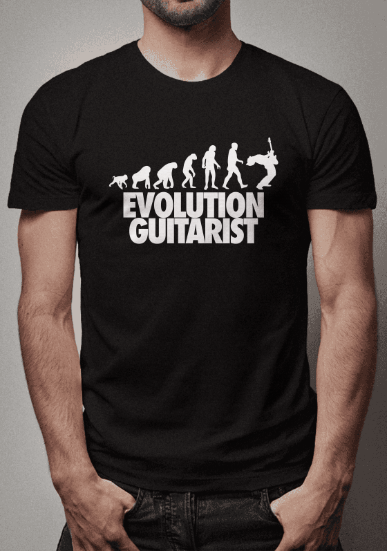 EVOLUTION GUITARRIST