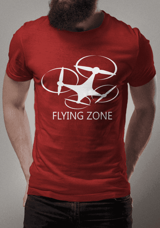 Nome do produto  Flying Zone 2