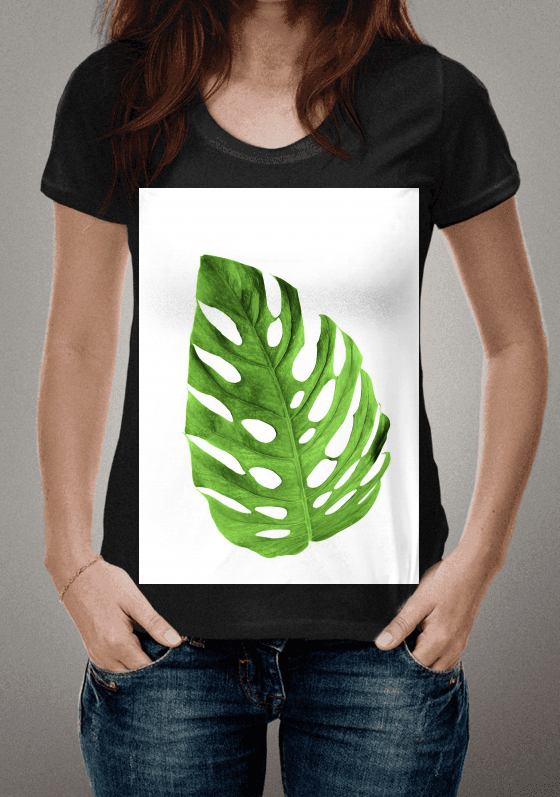 Nome do produto  Folha