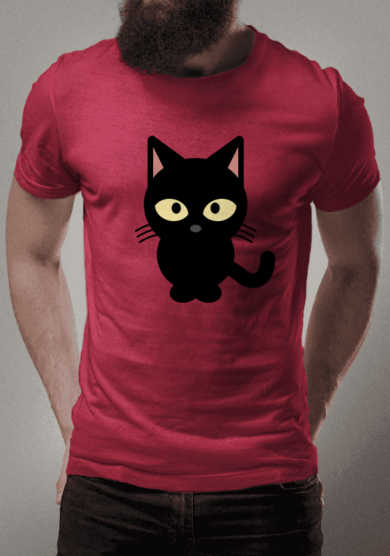 gatinho - transformação