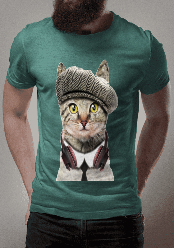 Gatinho fofo