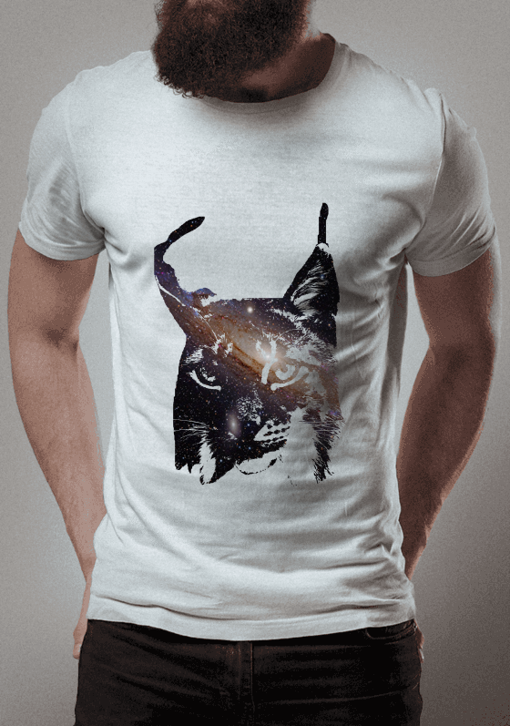 GATO GALAXIA 
