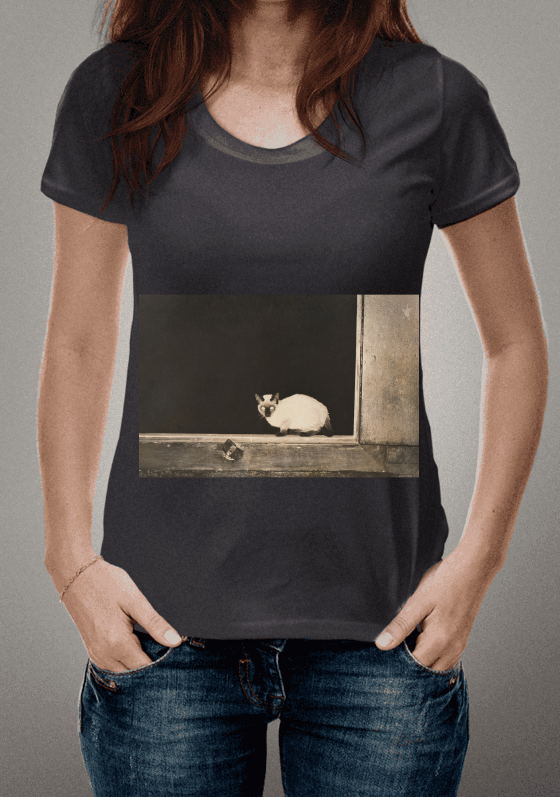 Nome do produto  Gato, Janela 