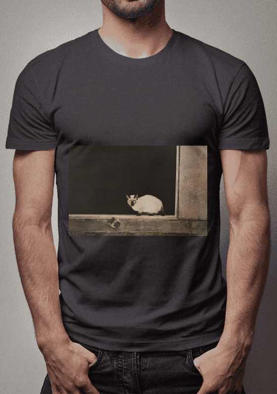 Nome do produto  Gato, Janela 