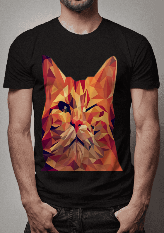 Gato poligonal