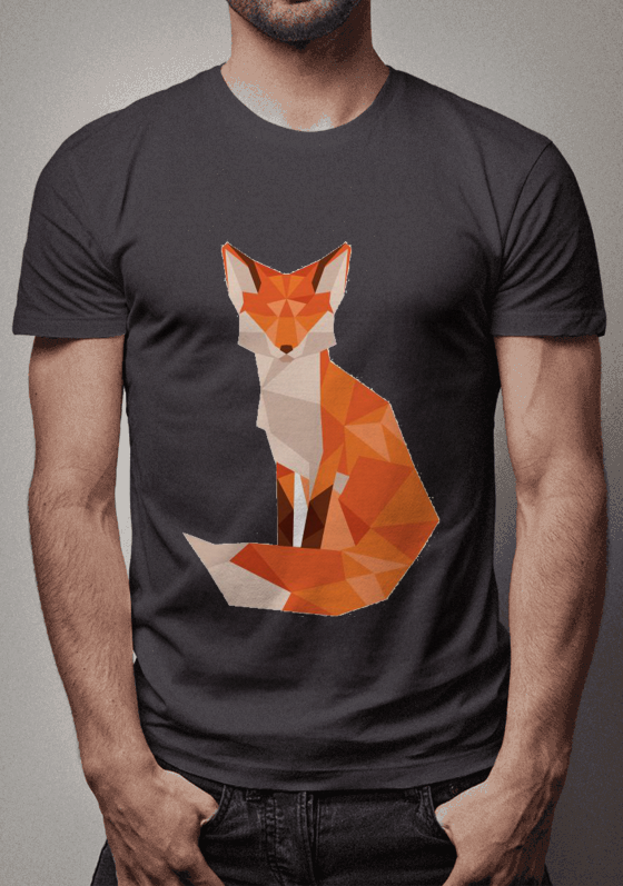 Geometric Fox