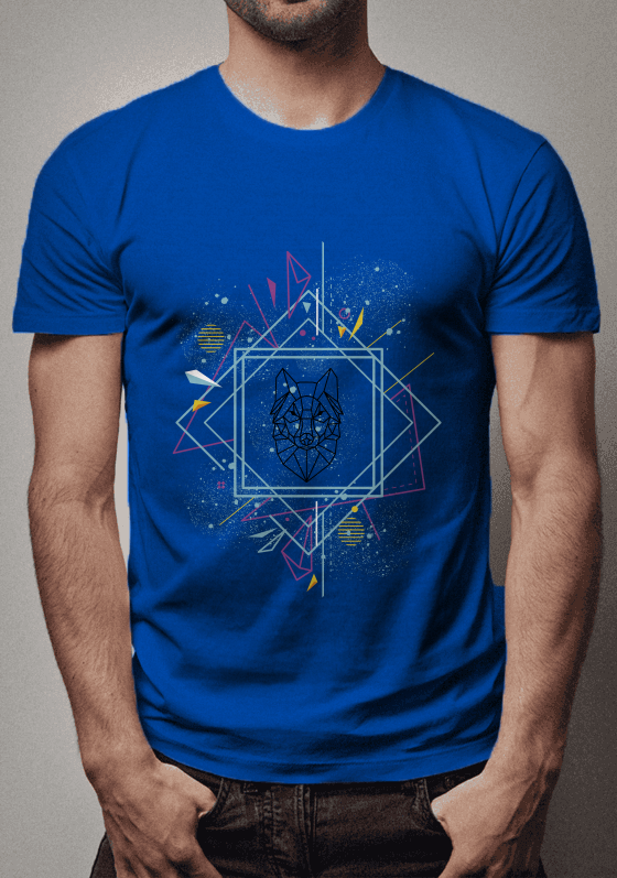 Geometrização