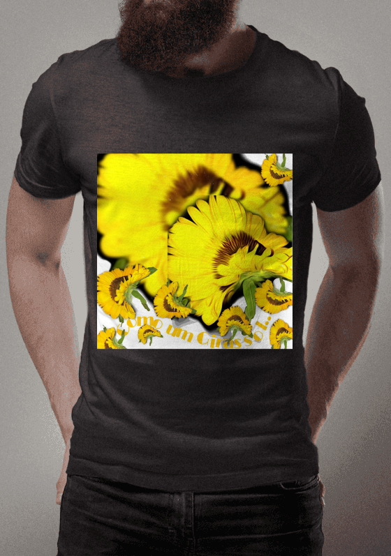 Nome do produto  Girassol