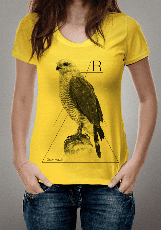 GRAY HAWK