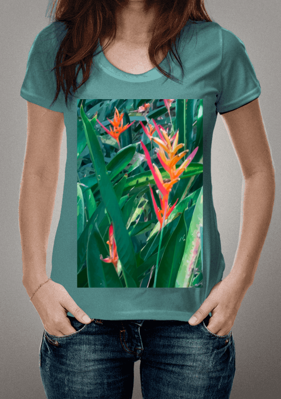 Heliconia Grenada 
