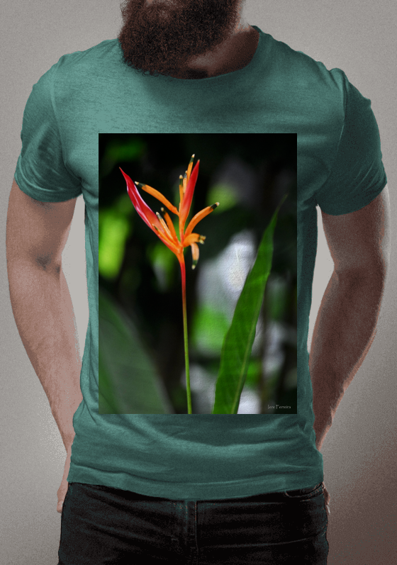 Nome do produto  Helicônia Papagaio