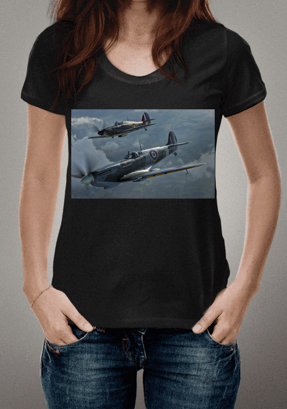 Nome do produto  Hurricane and Spitfire