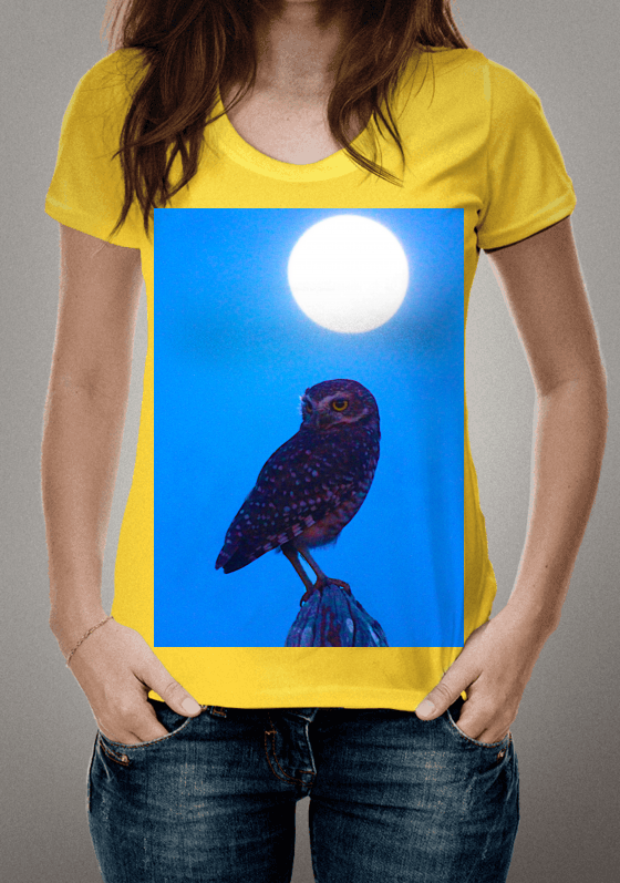 Nome do produto  Ibis.