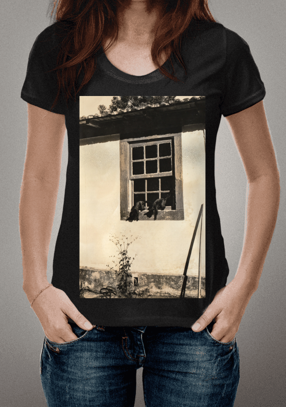 Nome do produto  Janela com gatos