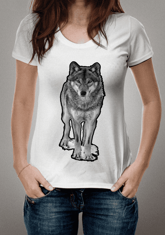 Lobo