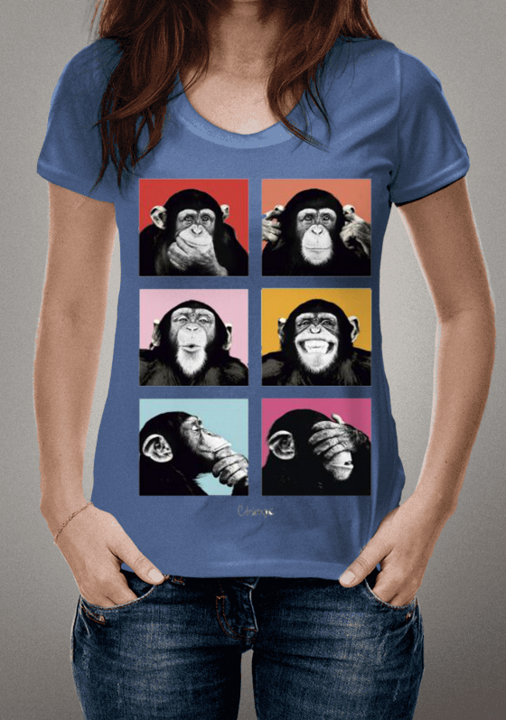 Nome do produto  MACACOS EGIPICIA