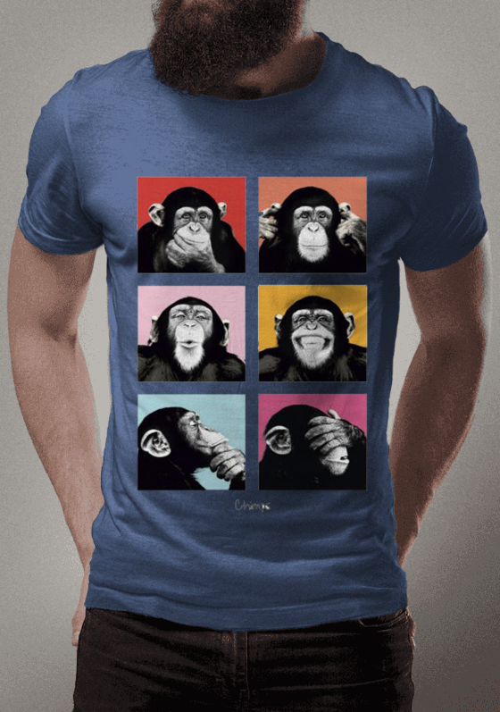 Nome do produto  MACACOS EGIPICIA