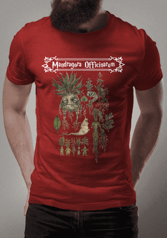 Nome do produto  Mandragora Officinarum 3