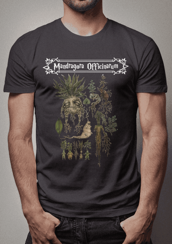 Nome do produto  Mandragora Officinarum 4