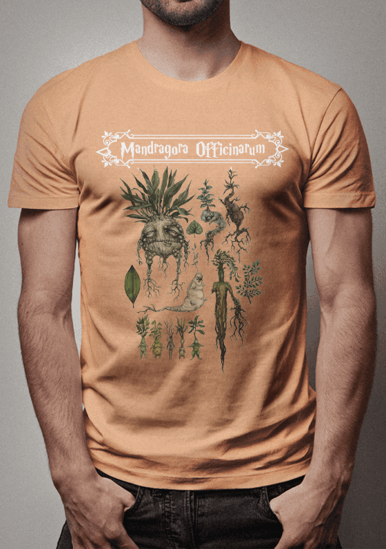 Nome do produto  Mandragora Officinarum 6