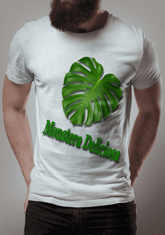 Monstera Deliciosa