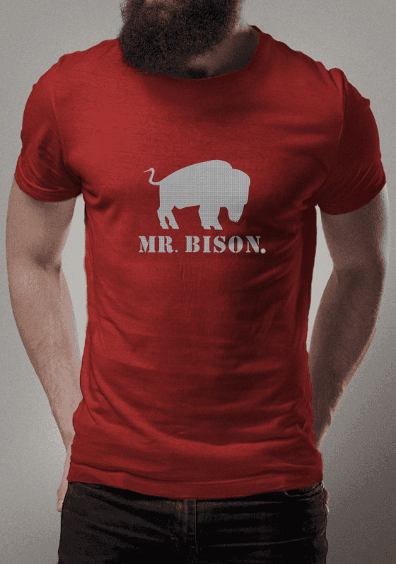 Mr Bison Abstract