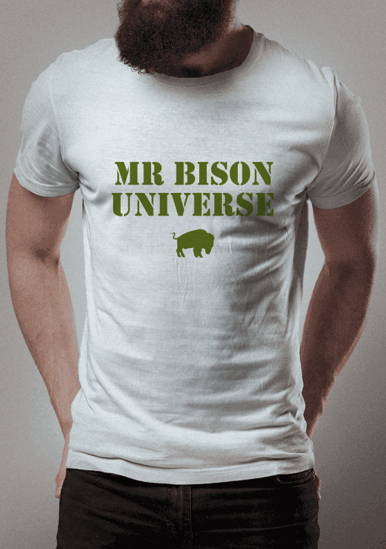 Mr Bison Universe