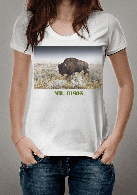 MR Bison X