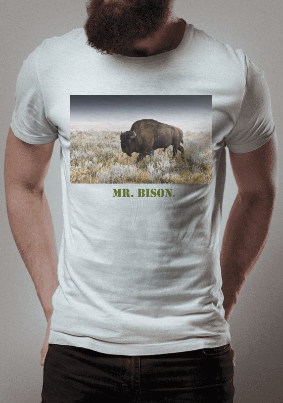 MR Bison X