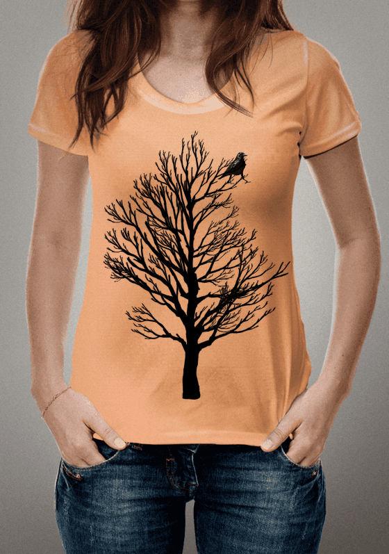 Nome do produto  o corvo