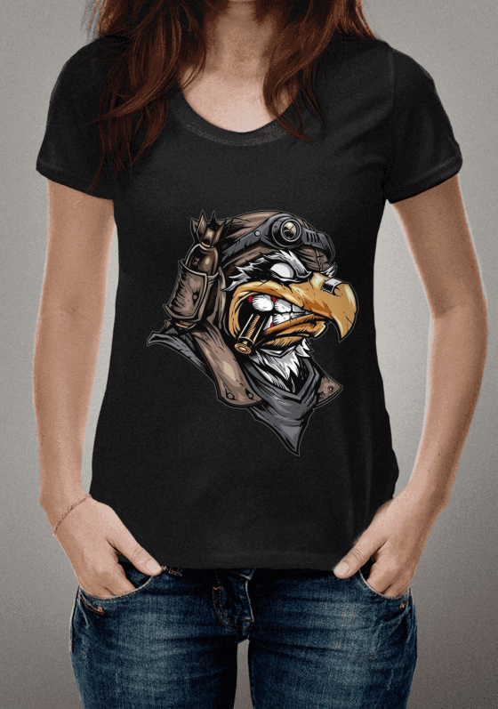 O FALCÃO DO COMBATE 