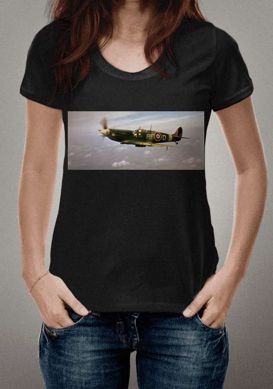 Nome do produto  O Famoso Spitfire