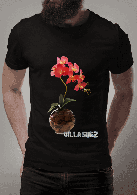 Orquídea Phaleanopsis