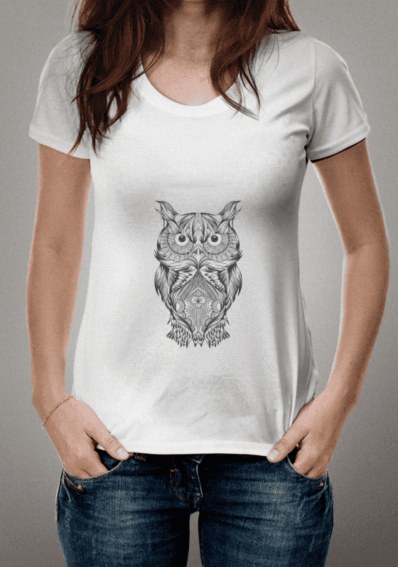 Nome do produto  Owl