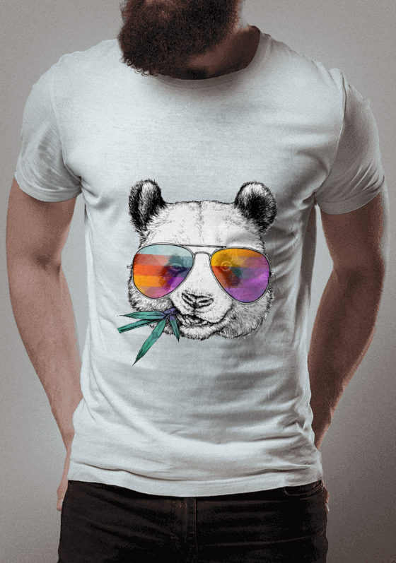 Panda Ray Ban