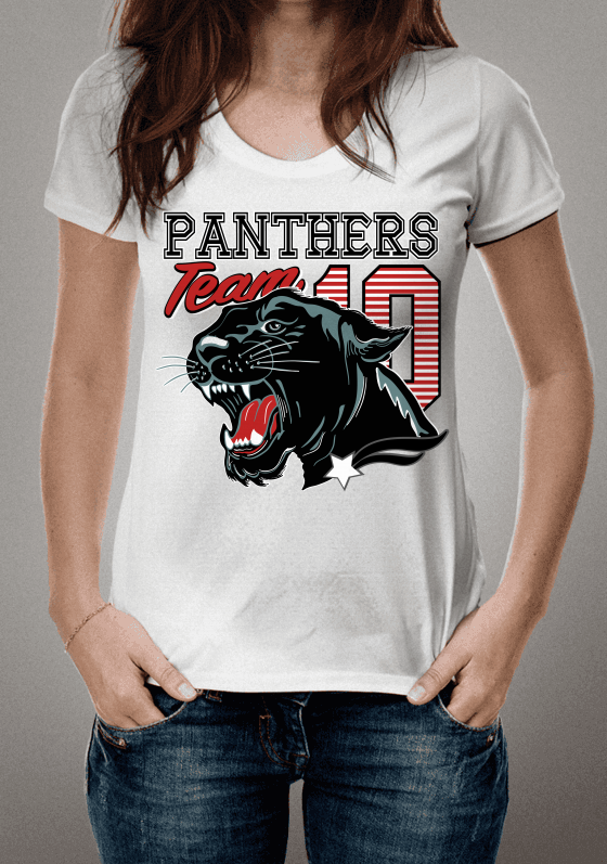 Nome do produto  panthers team