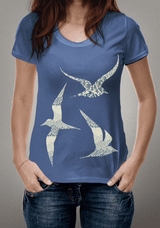 Nome do produto  Pássaros